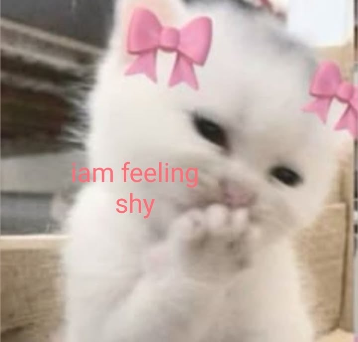 angeIaries's tweet photo. #nsfwtwt intro !! 

Haii im new to #nsfwtwt :] 

໒꒱ 19 y/o 
໒꒱ bisexual 
໒꒱ she/they 
໒꒱ switch lean sub 
໒꒱ just here for fun ;) 
໒꒱ dms open :P 
໒꒱ NOT SELLING !!! 

like retwt comment to be moots :3 im nice i swear !! #moothunt #nsfwmoots #nsfw https://t.co/BIVDO4xlyQ
