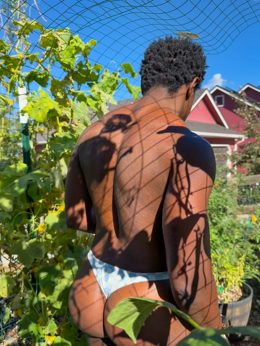 gagnesium's tweet photo. back of the garden x @SHOPjjmalibu https://t.co/AGaebVIGe8