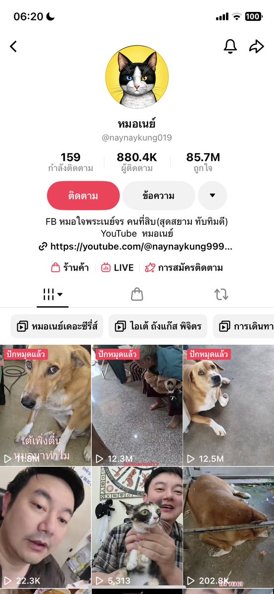 mewmi35's tweet photo. 📍อัปเดตน้องได้บ้านแล้วนะคะหมอเนย์เป็นคนรับน้องไปดูแลค่ะ🥰

หมอเนย์มีช่องในติ๊กต๊อกด้วยนะคะมีน้องแมวอีกหลายตัวที่คุณหมอรับอุปการะ☺️🥰

#แมว #แมวจรหาบ้าน https://t.co/2H4g4Jo2Ci