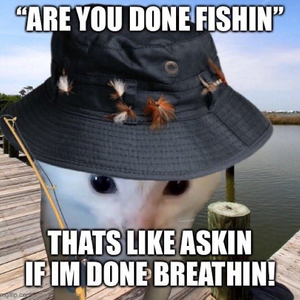 PunchingCat's tweet photo. https://t.co/VT6jXBwpl4