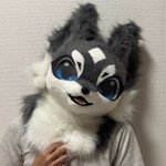Photo by コンペイトウの貯蔵庫 (@conconcon_74)