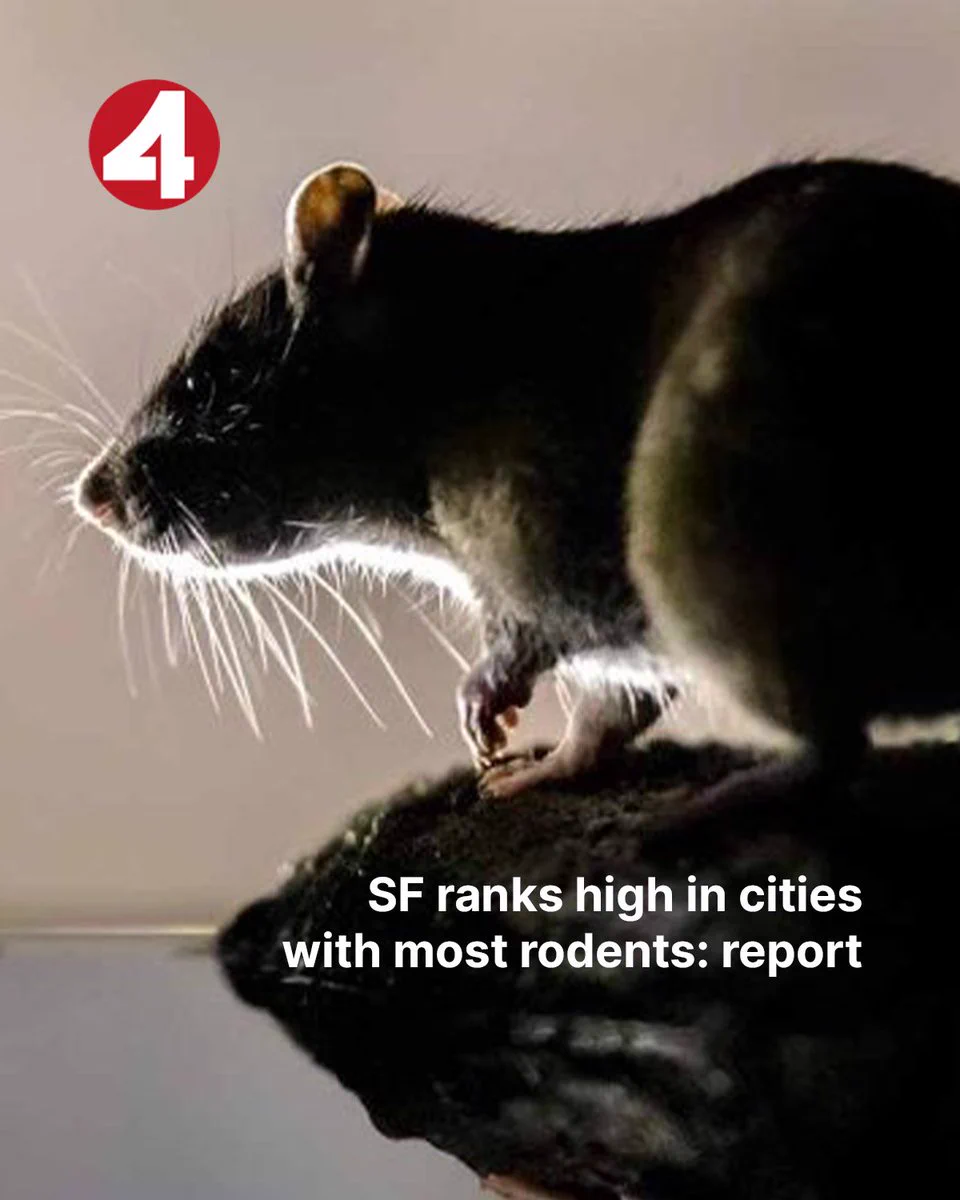 KRON4 News on X: 