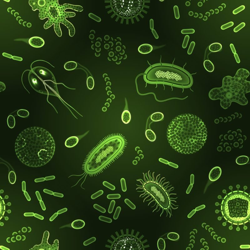 jackiespurnell's tweet photo. the yellowjackets as STDs: a thread https://t.co/c2TZVgEkAg
