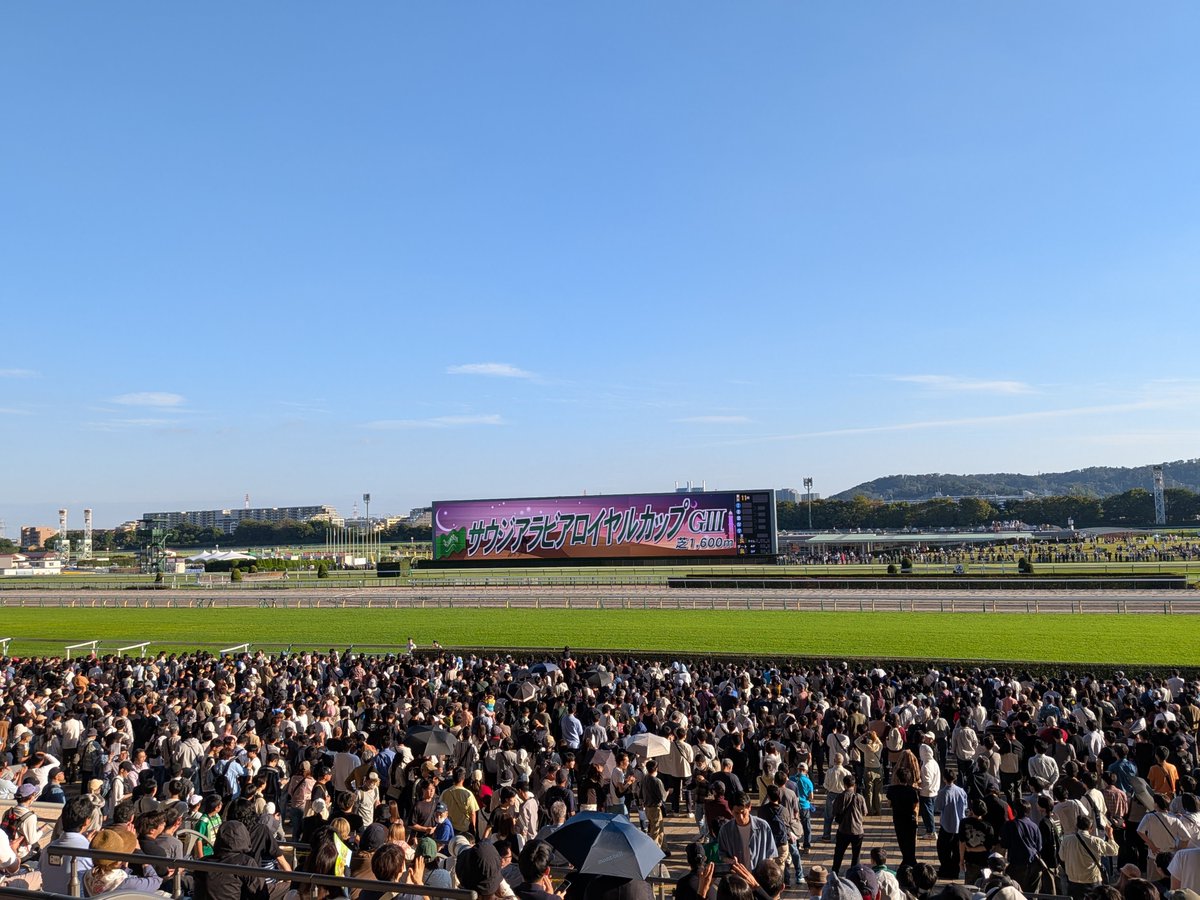 sakabasakaba's tweet photo. 昨日の入場者数

東京競馬場→43,354人
東京ドームクライマックス→42,232人

1,122人差で勝利🏇！スゴイ😳 https://t.co/hEWl00guMw