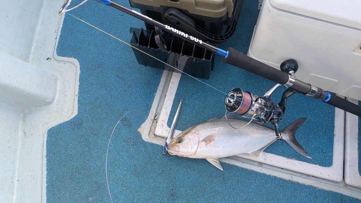hiro39113's tweet photo. BARIKI604 入魂完了🤩
シーライドロング150gでした。
ネリゴ、コシナガ

#BARIKI
#bluebluefishing
#玄界灘ジギング https://t.co/fvdQETljGk
