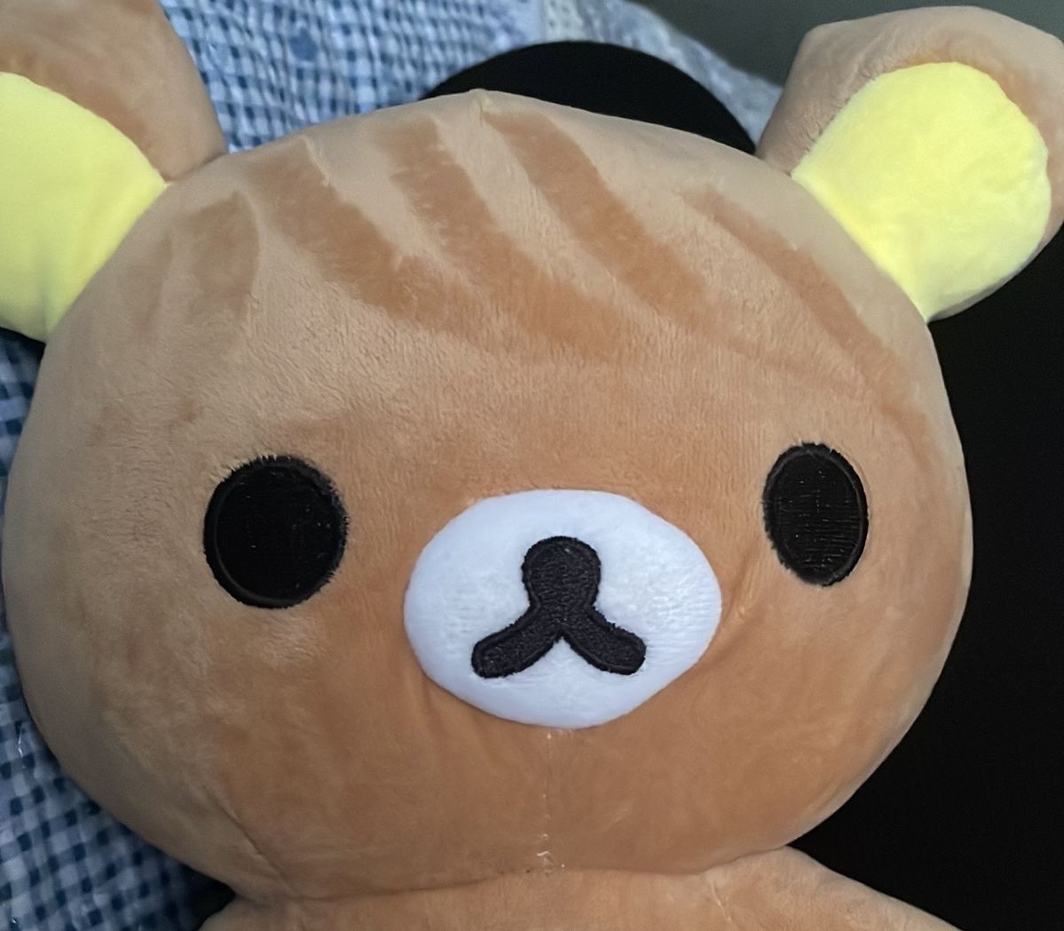 pet0922's tweet photo. wait aww me https://t.co/yPxszRnHFa