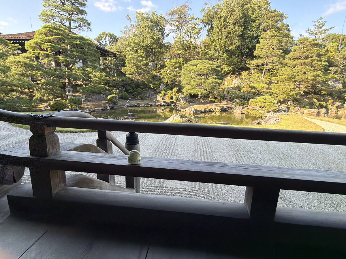 011transel's tweet photo. かめさんを見失しなったことをご本尊様へ全力でごめんなさいしていたら、まめちゃんが「かめさん「きにしてないんでみつけたらまたいっしょにスイーツにつれていってくださいね」っていってたよ」と。

待って、かめさんいるの？！

(•́.•̀)「イマジナリーのときおはなししてる」

そうなのね… https://t.co/PnoFbD3L5e