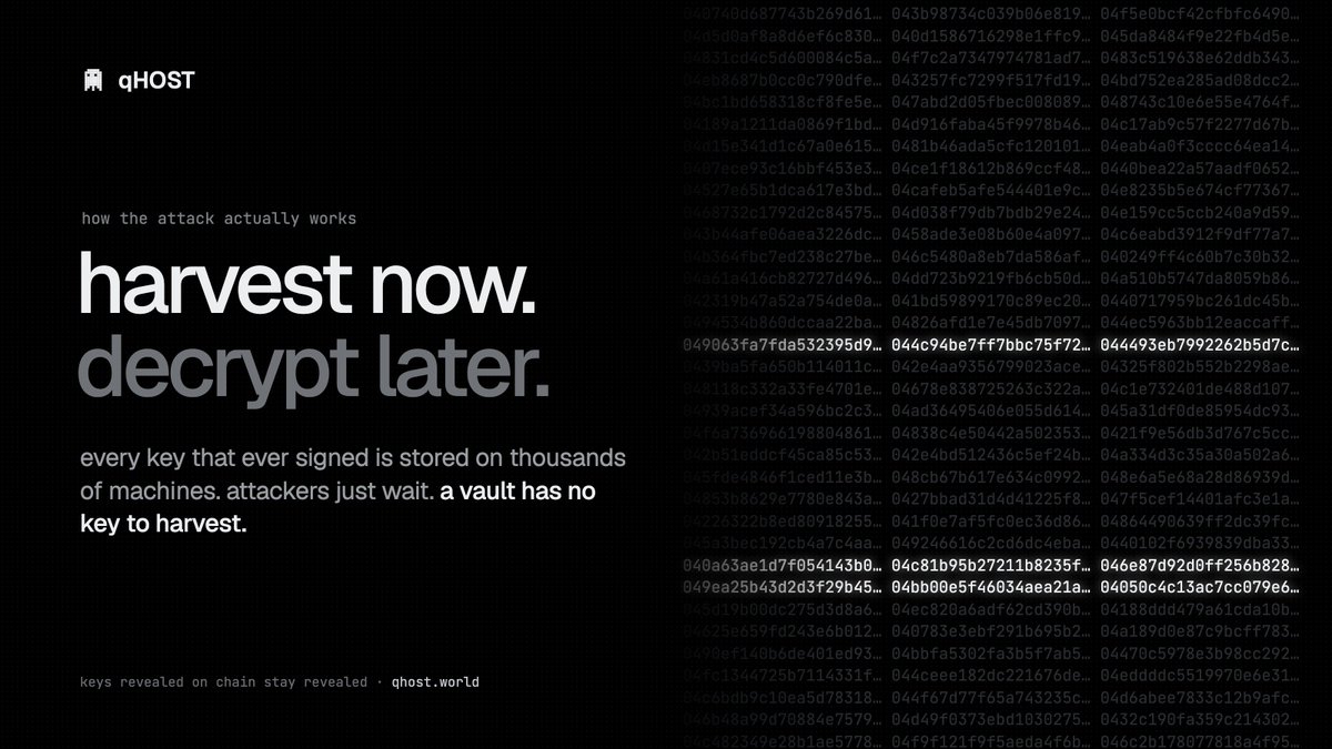 qhostworld's tweet photo. nobody needs to break your wallet today. they just save every public key and wait for the hardware. a qHOST vault has no key to save https://t.co/BfSZqOhBmk