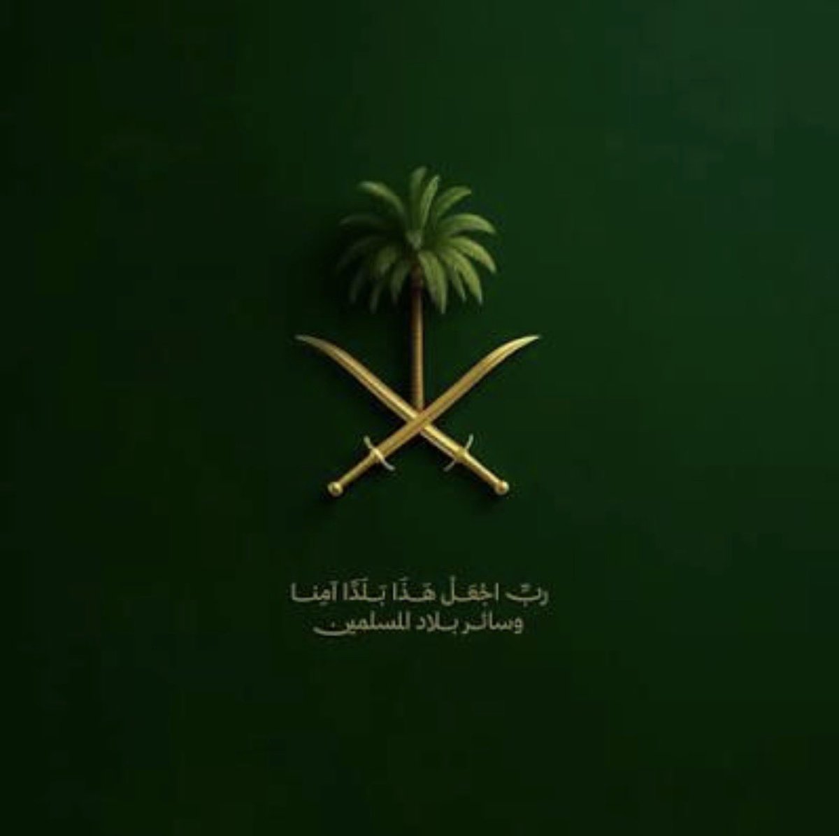 talal__althani's tweet photo. اللهم حفظ #المملكة_العربية_السعودية 
اللهم جعلها في أمن وأمان اللهم حفظها من شمالها إلى جنوبها ومن غربها إلى شرقها 
اللهم رد كيد الكائدين وجعل كيدهم في نحورهم وجعل الدائرة تدور عليهم وعلى من عاونهم  اللهم انصرهم على اعدائهم 🇸🇦
اللهم آمين https://t.co/pKcrbC36yX