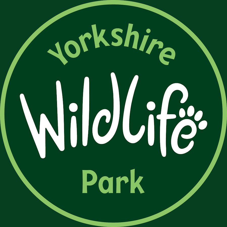 PopBase's tweet photo. A man has died after jumping into a tiger enclosure at the Yorkshire Wildlife Park in the UK.

Police said the tiger was uninjured and remained in the enclosure following the incident, posing no wider risk to the public. https://t.co/fQElSZI1I1