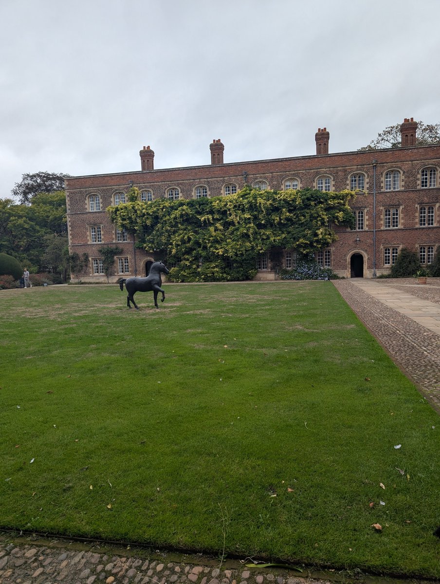 RushmiSethi's tweet photo. @DirectorWray The horse inspiration was you Chris the horse star sign and this is your lucky year when you win big time on Daniel Kinahan case after I attended Jesus College University of Cambridge because they also had a horse on their campus and the post-grad law lectures were intellectually stimulating so I got my memory back when I bumped into familiar happy faces of my excellent senior professors of law mentors Richard Benny 2007-2008 and Simon Deakin 2007-2014 etc. ❤️❤️❤️ @RushmiSethi