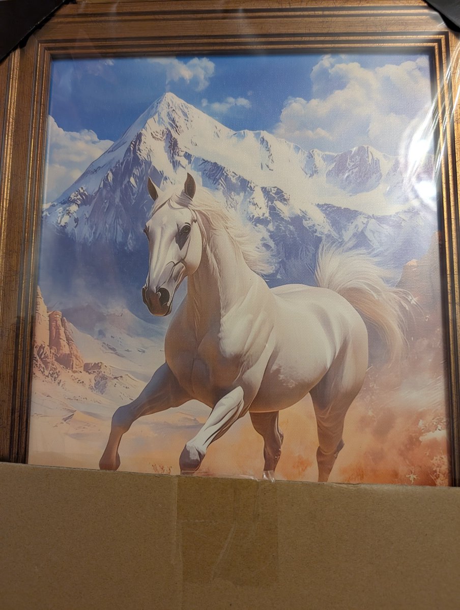 RushmiSethi's tweet photo. @DirectorWray The horse inspiration was you Chris the horse star sign and this is your lucky year when you win big time on Daniel Kinahan case after I attended Jesus College University of Cambridge because they also had a horse on their campus and the post-grad law lectures were intellectually stimulating so I got my memory back when I bumped into familiar happy faces of my excellent senior professors of law mentors Richard Benny 2007-2008 and Simon Deakin 2007-2014 etc. ❤️❤️❤️ @RushmiSethi