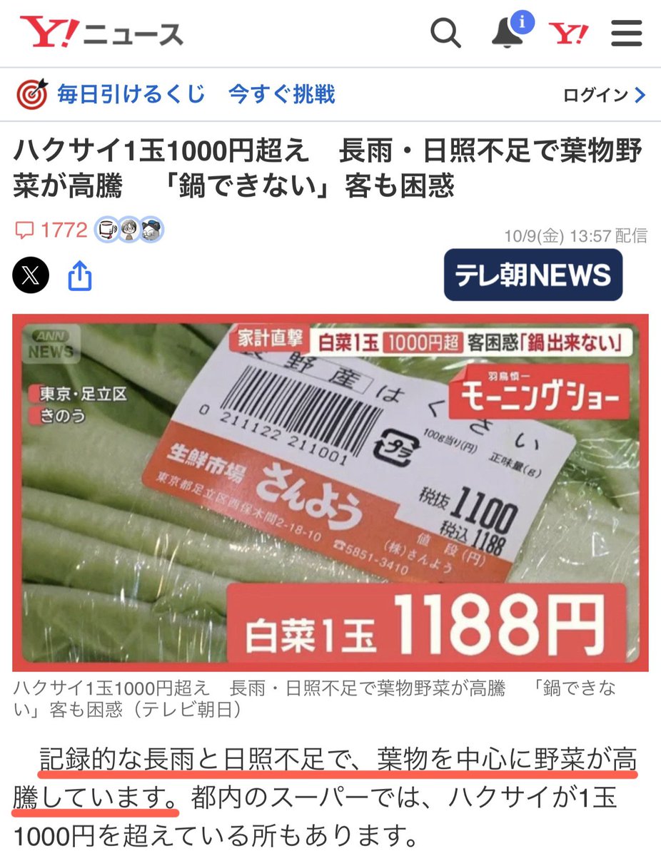 yominokuni140's tweet photo. 【悲報】

ニュース記事「白菜高騰、鍋できないと客困惑」
↓
左派さん「安倍さん……見てますか……？これが今の日本です……」
↓
記録的な長雨の影響で高騰してるだけだった事が発覚
↓
左派は見出しだけ見てて、記事を全く読んでないことが確定してしまう←今ここ https://t.co/mIKkcrDFYo