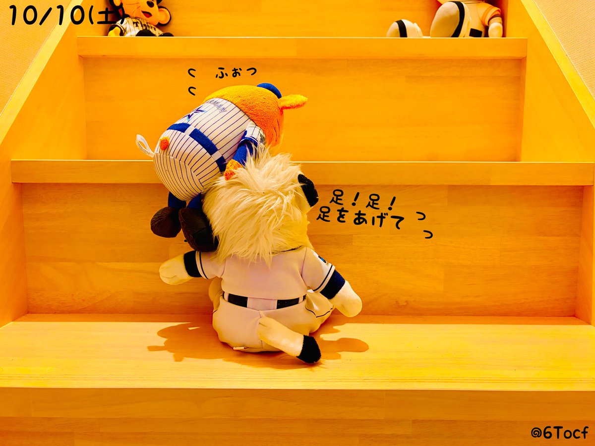 tadaball_fairy's tweet photo. 勝利したチームはこうやって階段を登ります🙄 https://t.co/euEdyLnkbp