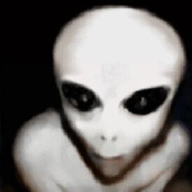 egirlfriendz's tweet photo. i would really like to date again but i'd rather slit my wrists than go through the talking phase in same sex relationship and they end up hating me because i'm not a soft cottage core uwu girl. i want to FU- https://t.co/9Ul4fBYnUd