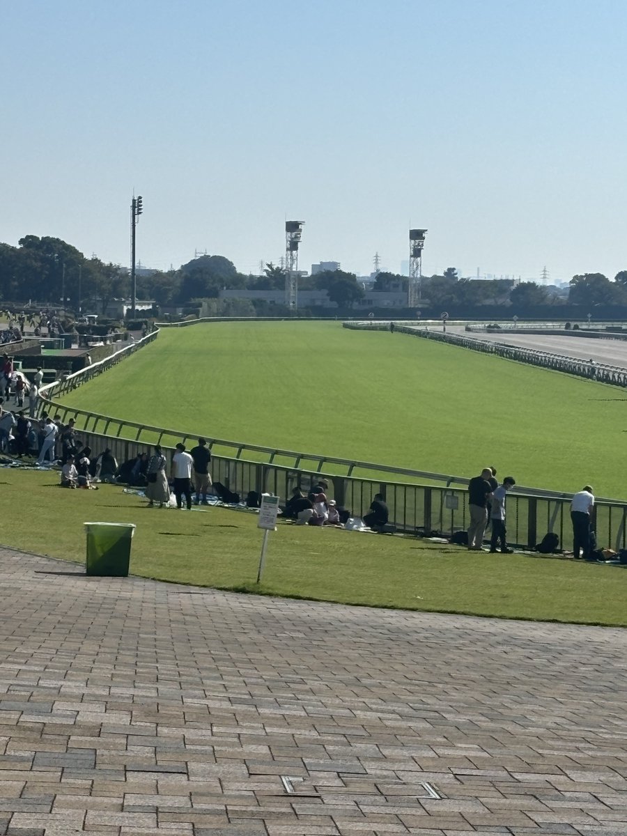 Tosty1911's tweet photo. 今日一日が良き日となりますように🙏
#東京競馬場 https://t.co/PTiviHIngC