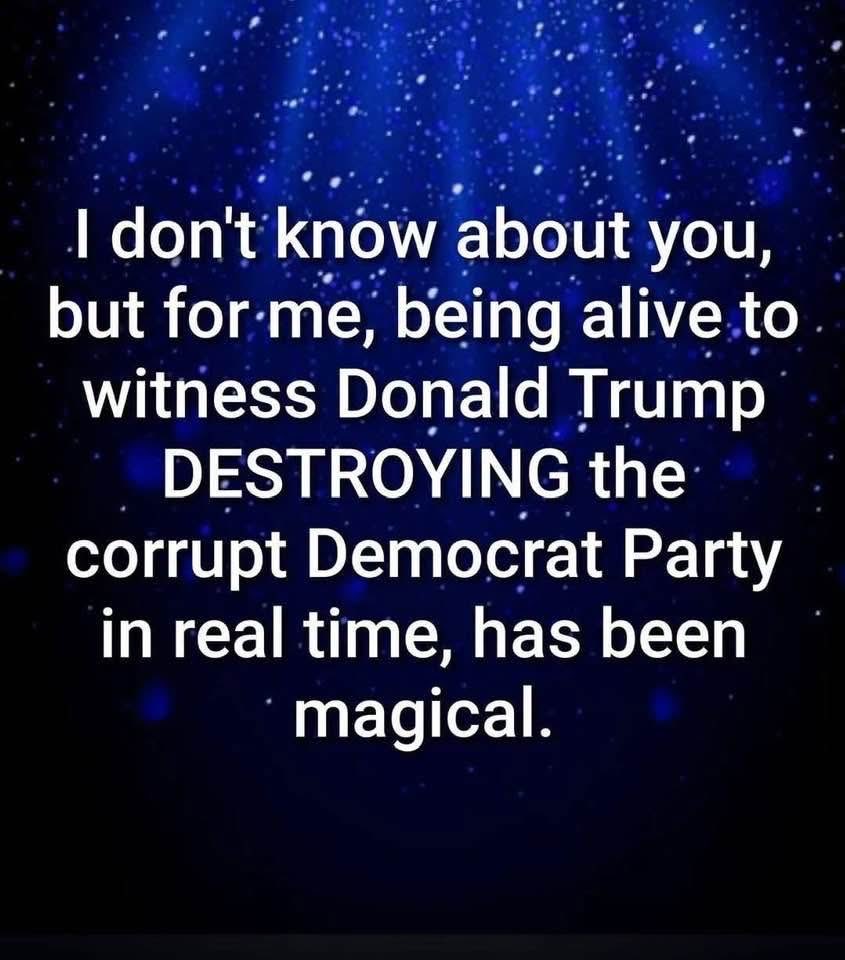 Daniell64334313's tweet photo. It’s a magical time to be alive!! https://t.co/ZIFSFW5AjE