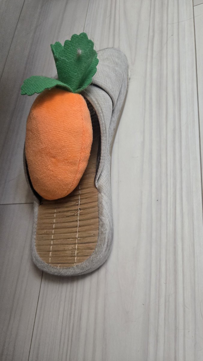 peruperu2222's tweet photo. 【※きたねースリッパ閲覧注意】
たびが朝からスリッパに🥕を届けてくれて今日もBIGLOVE💕💕💕
新品のスリッパにしたら入れてくれないから、洗いもできない😇笑
#猫のいる暮らし
#ノルウェージャンフォレストキャット https://t.co/Ge0Dt0z0nb