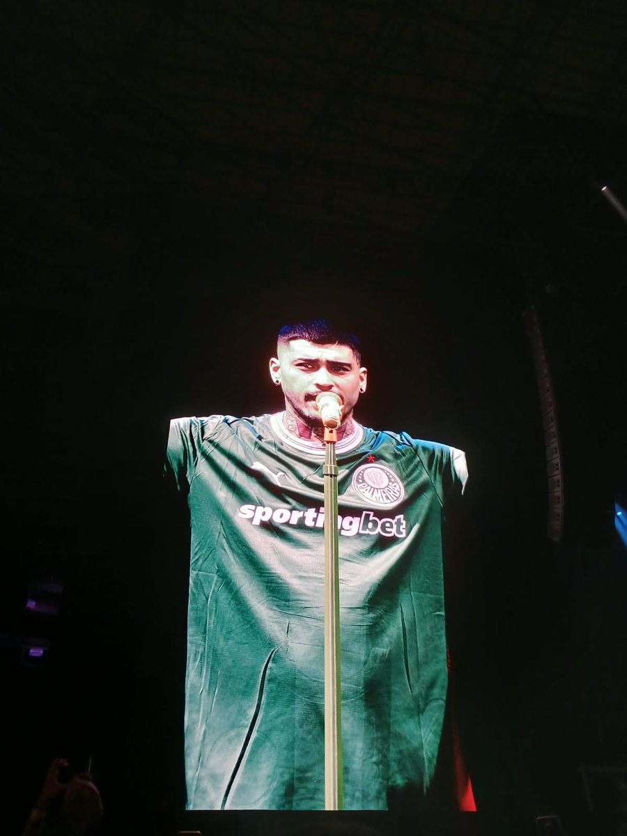 ZaynSquadBrasil's tweet photo. ZAYN VESTINDO CAMISETA DO PALMEIRAS! 💚 https://t.co/EIss2dbzM9
