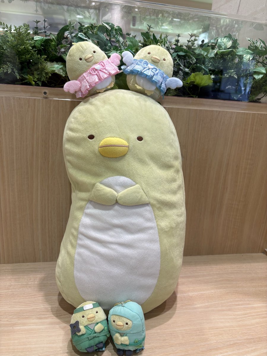 penguin33592's tweet photo. やっとお会いできたフォロワーさん💕
やっとお会いできたぺっちゃん💚
短い時間でしたが、めっちゃ癒しで楽しいひとときでした。
かわいいお洋服ありがとうございます。またゆっくりお話したいです✨ https://t.co/OPBzTIEnkS