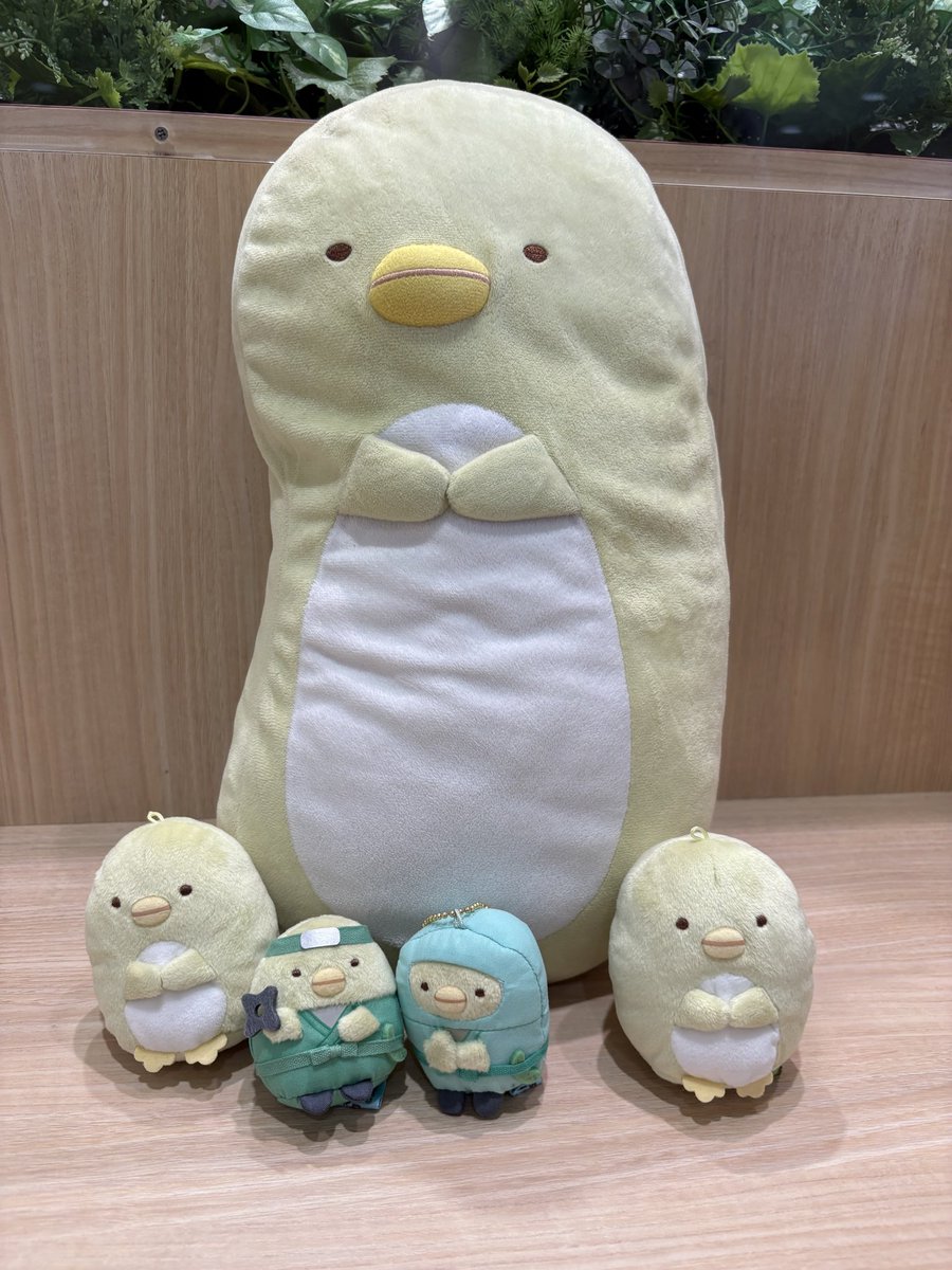 penguin33592's tweet photo. やっとお会いできたフォロワーさん💕
やっとお会いできたぺっちゃん💚
短い時間でしたが、めっちゃ癒しで楽しいひとときでした。
かわいいお洋服ありがとうございます。またゆっくりお話したいです✨ https://t.co/OPBzTIEnkS