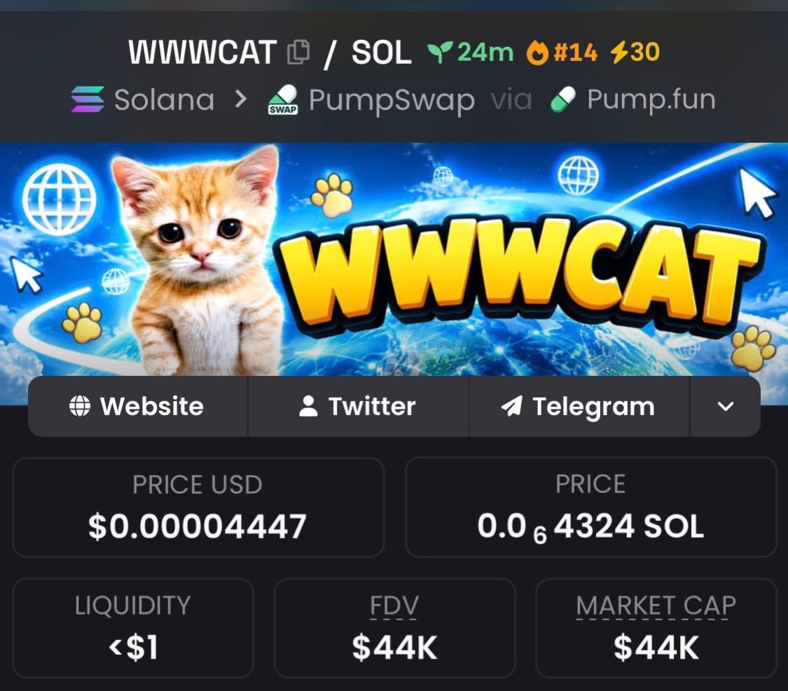 zack_zeus1's tweet photo. I put the spotlight on #wwwcat when it hit a standout $44k market cap, exclusively for my Telegram community.

#CryptoPump #Crypto #Altseason #Solana #AltcoinAlert https://t.co/w9u2W971aL