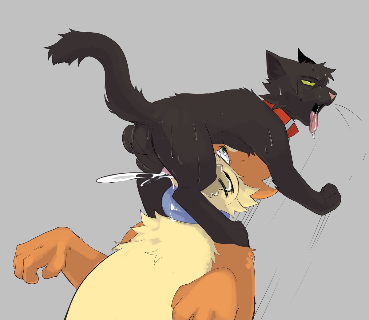 SoggyBuizel's tweet photo. How can this freak possibly have so much...? I'm a water type and I don't even store this much- AND I'm bigger than he is. Stinky cat... https://t.co/Wcf9MPbXgB