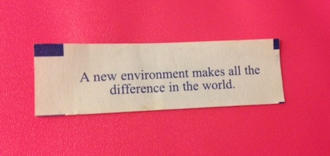 JMPosters's tweet photo. #SmartCookie, we seek your sage advice. 
What wisdom do you have for us today? https://t.co/ejgsM9rhzT