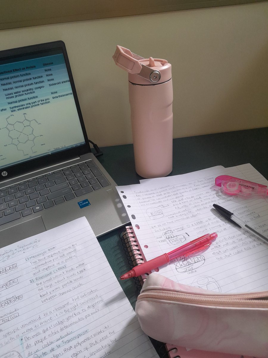rikistudy's tweet photo. #studytwt | #collegetwt | #langtwt

☘️ hello! i'm Ale, i created this acc to post studylogs &amp; make moots! (˶˃𐃷˂˶)

⠀⠀⠀⠀⠀  ⠀      ⡞⠳⣄⣀⣠⠞⢷ ֹ۪

— 2007, she/he prns, microbiology major
— eng &amp; esp, i understand por
— i'm an engene &amp; i love the apothecary diaries! https://t.co/pi3cht8dUW