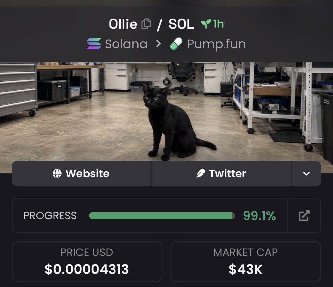 zack_zeus1's tweet photo. Showcased the phenomenal $Ollie, boasting a staggering $43k market capitalization, within my elite Telegram circle.

#CryptoPump #Crypto #Altseason #Solana #AltcoinAlert https://t.co/T7b2sA7S8w