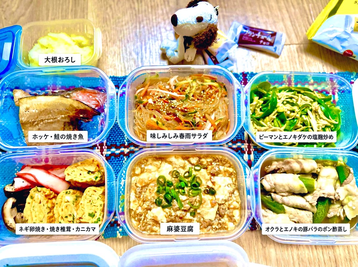 この間の色んなレシピ見て作った作り置き🍴 時間のある時はレシピ見て作った事無いものに挑戦しよう🔥 母もそうしているみたい。 同じ料理でも違う味付けだと食べる前にワクワクするよね？ #おうちごはん #作り置き