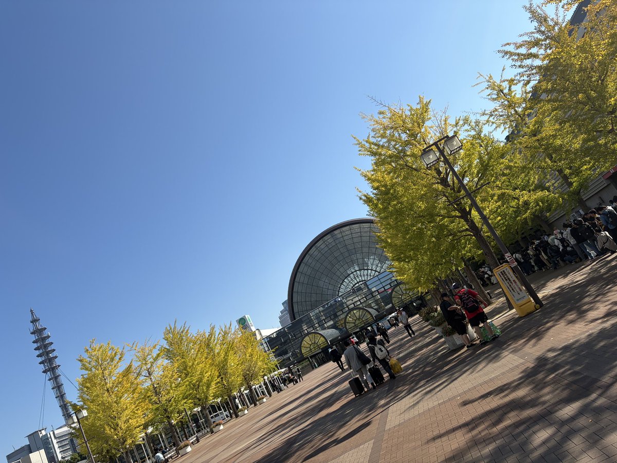 bb_tsumoi's tweet photo. 紅楼夢に行こうろうむ‼️ https://t.co/yGaQqwh2fc