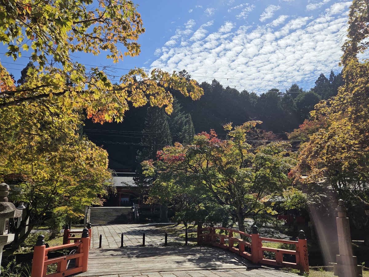 nightmare2480's tweet photo. 紅葉色づき始めてたり生身供見たり色々回った( ´_ゝ`) https://t.co/DkLXuPmRt3