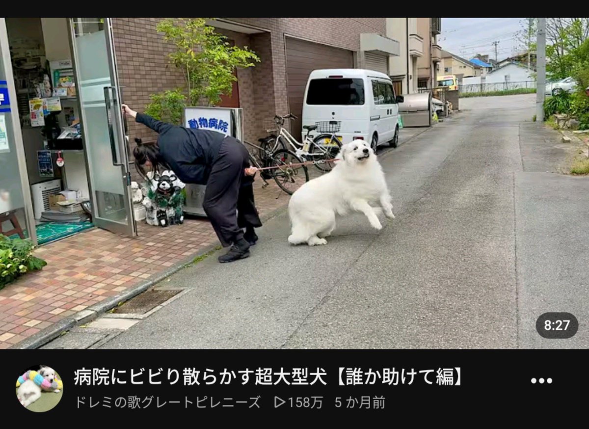 pycpym's tweet photo. YouTube、ずっとこういう最高サムネだけおすすめしてきてほしい https://t.co/UMMLwIsNJz