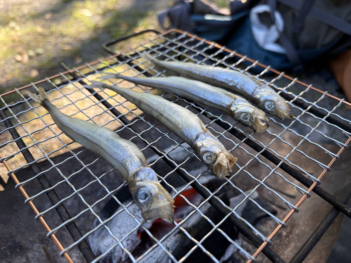 Hi_lite1960_sum's tweet photo. 魚 https://t.co/YHXnqdW5dj