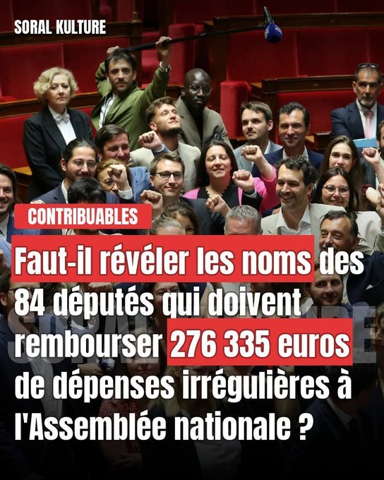 AdamGirard1990's tweet photo. 84 députés doivent rembourser 276 335€ de dépenses irrégulières à l'Assemblée. Notre argent volé ! https://t.co/oWD1O3ifFh