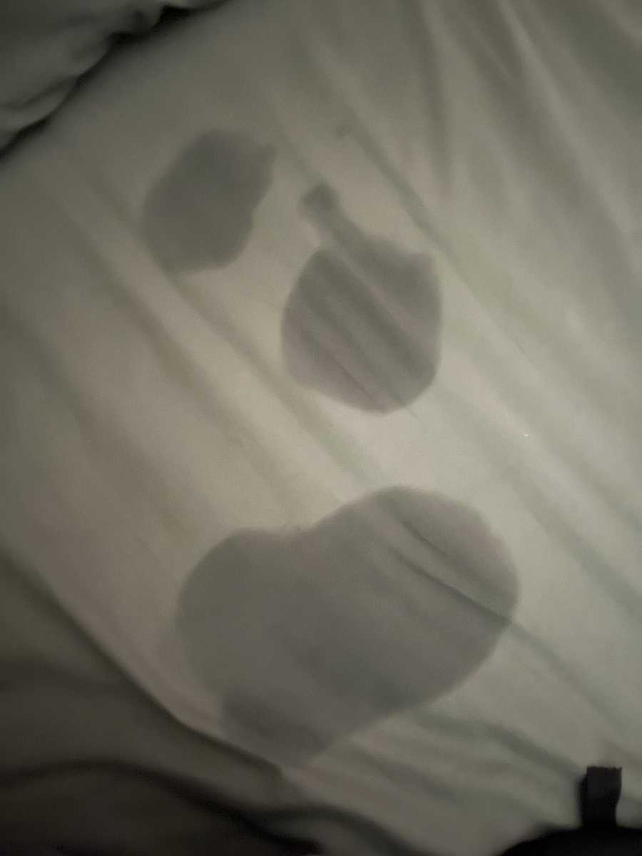 o_Twooo1's tweet photo. 第一次被操喷 我说想尿尿他还不信 结果直接喷一身弄到床上 又嫌弃我把床弄湿了 https://t.co/wdh2yqYVRT