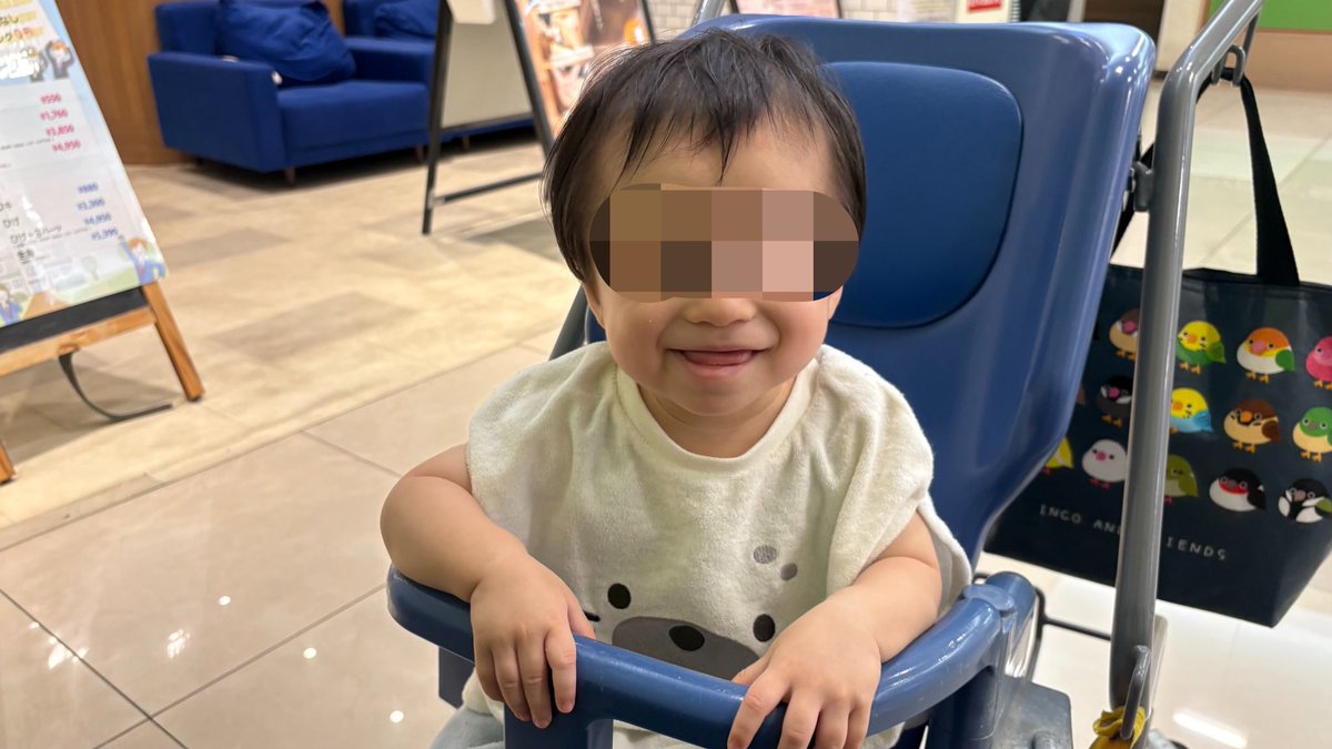 kurorange_lr's tweet photo. 夏の終わりになってあざらしの服を買っていた事を思い出され来させられる息子氏 https://t.co/MNJDiDjNLR