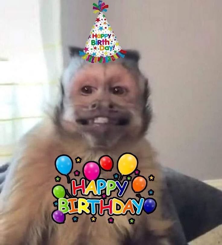 EzekielCrrypt's tweet photo. Happy birthday to me! 🎉

Grateful for another 365 days. 🙏❤️ https://t.co/E7HkFpsF0q