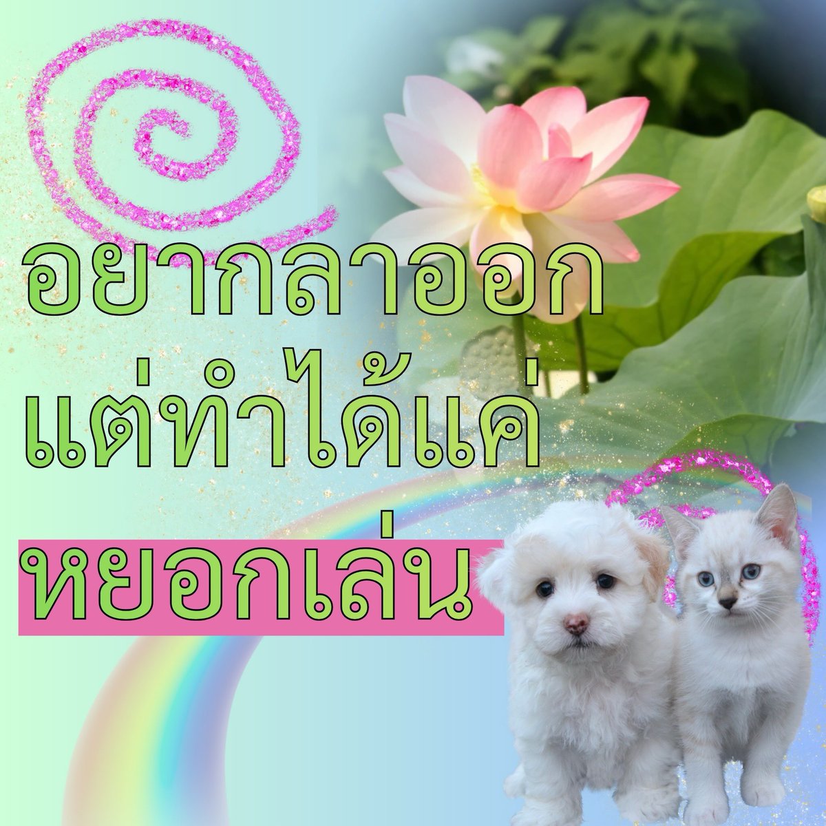 locketnmoon's tweet photo. https://t.co/5RSZZawwQh