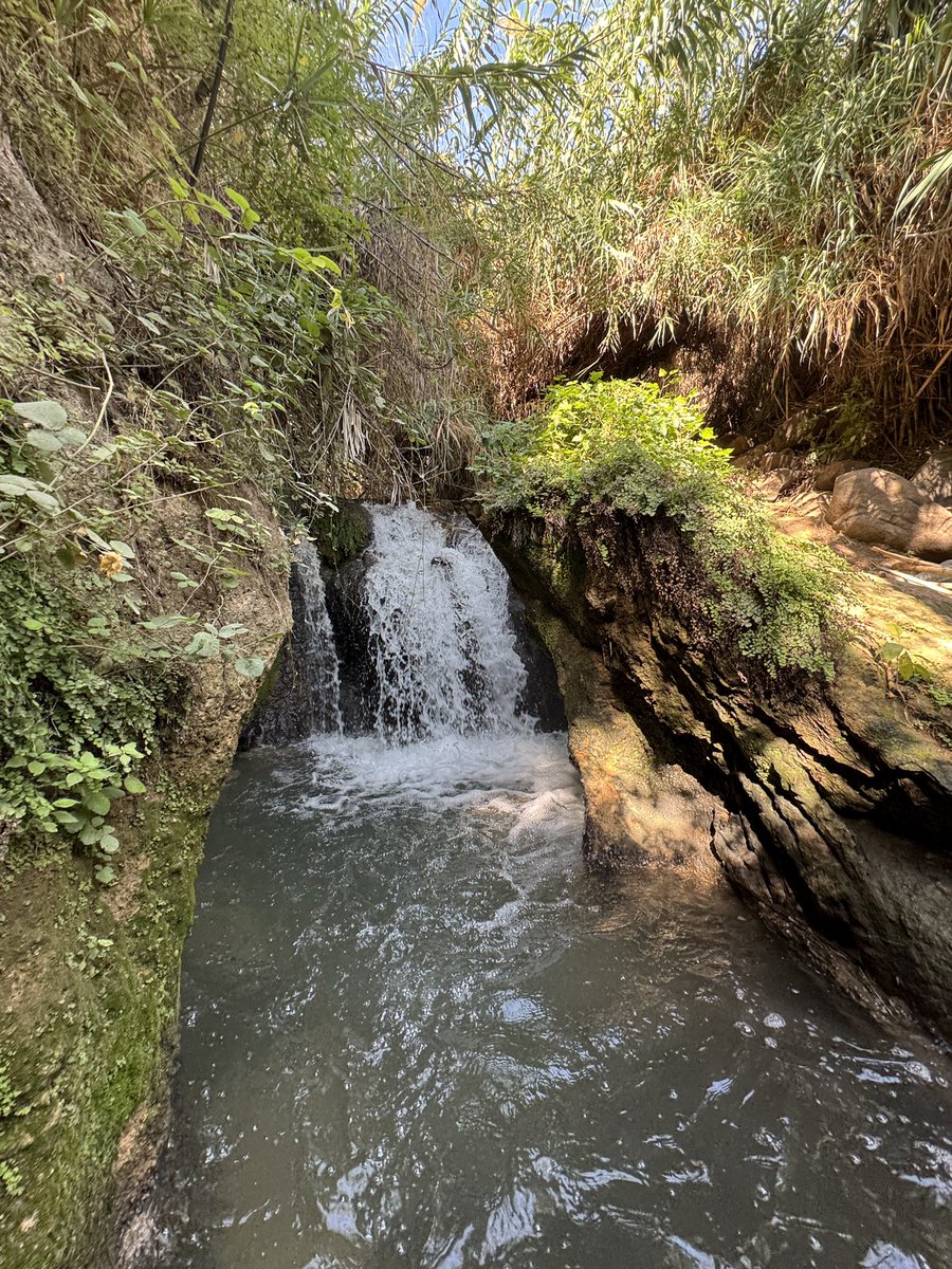 DanaGat1's tweet photo. כן, זה בישראל
כן, הכניסה בחינם
כן, זה נגיש בתחב״צ 
כן, זה בתור עיר!!!!!

כן כן זה בתוך קריית שמונה
מפתיע אה?
שימו בוויז פארק הזהב
חוצים את הגדה לצד השני
ממשיכים עם הסימון של שביל ישראל כ3 דקות עד שתראו מפל גדול

ממליצה להמשיך בשביל יש עוד המון נקודות מהממות

תהנו ותשמרו נקי https://t.co/VRB0B6jnXp