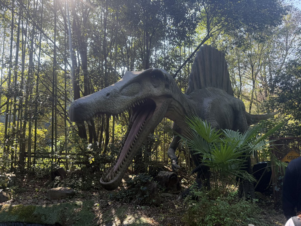 24hyou_key's tweet photo. ダイナソーパーク🦖
恐竜動いてる！なかなかの迫力！
入口付近では宝石や化石の発掘体験出来るみたいだね👀✨
#フブキングダムの里 https://t.co/hUrgcs4bU2
