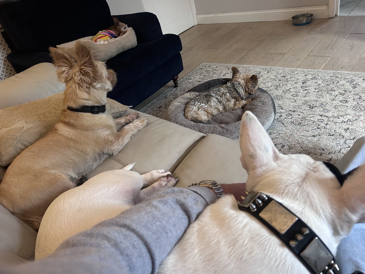 BryanCoope19616's tweet photo. Morning sleep over https://t.co/kfLSkLF4QD