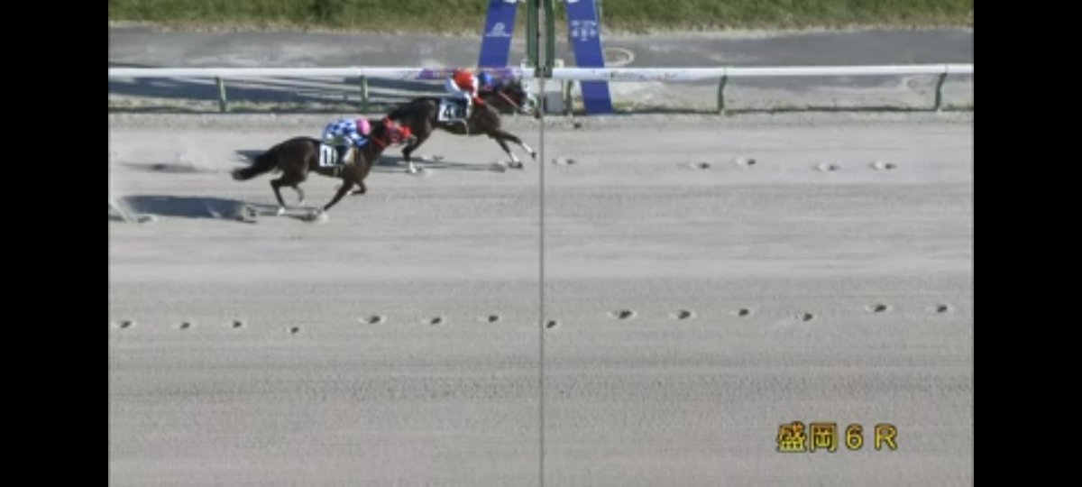 chiikisosei's tweet photo. ブレイロックホールさん🏇
盛岡にて１年以上の休み明けでしたが…快勝！！
あと２つ頑張って中央に返り咲こう‼️ https://t.co/uSgKvBObAe