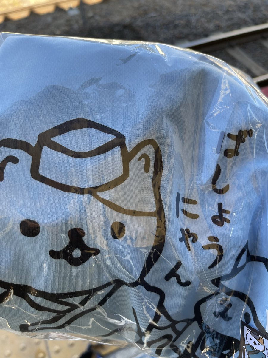 nary0819's tweet photo. 山頂まで行かないと買えない激レア！芭蕉にゃんTシャツを購入しました！
一休みして芋煮定食。
電車は基本的に1時間に1本なので、もう仙台へ戻ります。 https://t.co/CrCok9nuJM