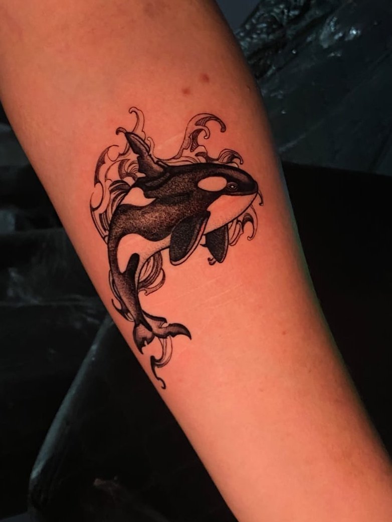 elmosquitto's tweet photo. Vocês merecem ver a lindeza da minha tatuagem de orca https://t.co/O77Z8fNvjj