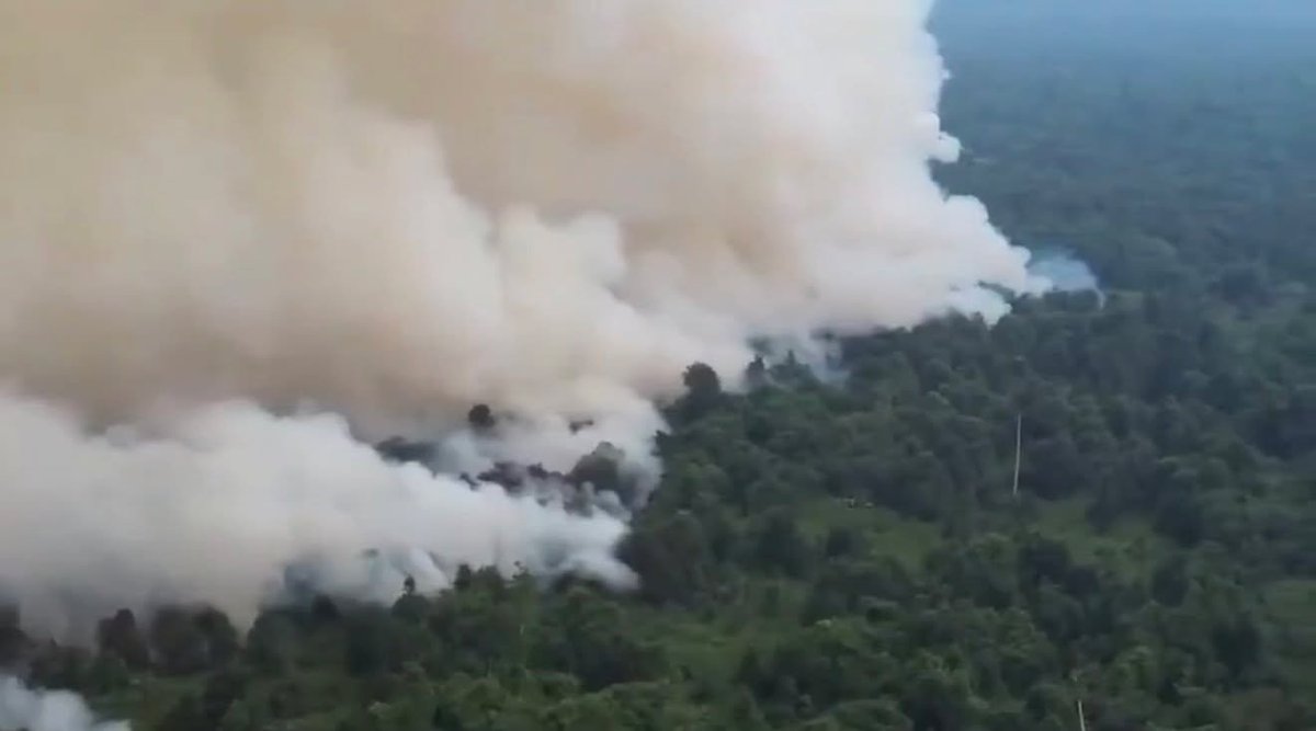 update11111's tweet photo. Jepun hantar 3 helikopter, 600 anggota, jalankan 40 misi dan curahkan 220 tan air untuk padam kebakaran hutan di Indonesia. Lepas Jepun balik, kawasan sama dibakar semula. Orang datang jauh-jauh tolong padam, yang dekat bakar balik. Beda. Memang berbeda. 😅 https://t.co/dgC2jXZ7iG