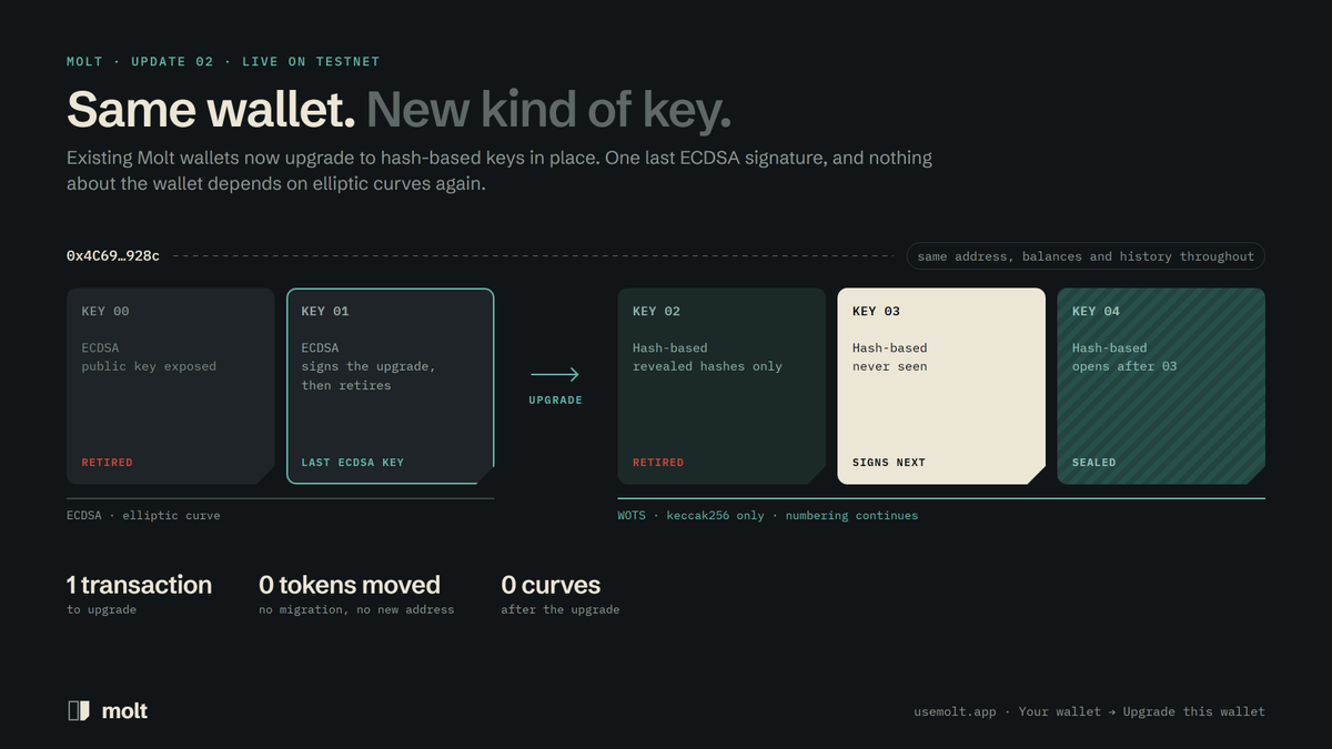 useMolt's tweet photo. Existing Molt wallets can now move onto hash-based keys in place.

The original promise of Molt was "your address never changes, only the key behind it does." It turns out that promise extends further than we first used it: not just to which key, but to what kind of key.

An ECDSA Molt wallet signs one final ECDSA transaction. That transaction retires the key that signed it, as every Molt transaction does, and in the same step switches the wallet's verification to WOTS one-time signatures over keccak256, committing to its first hash-based key. The key numbering simply continues. From the next transaction on, nothing about the wallet depends on elliptic curves.

The address doesn't change. Balances, tokens, approvals and history don't move. There's no migration, which matters, because migrations are where people actually lose funds.

Try it at https://t.co/23ttXuUhNE: Your wallet → Upgrade this wallet. Then try to drain it with a retired key.

Next: hardening ahead of an external audit.