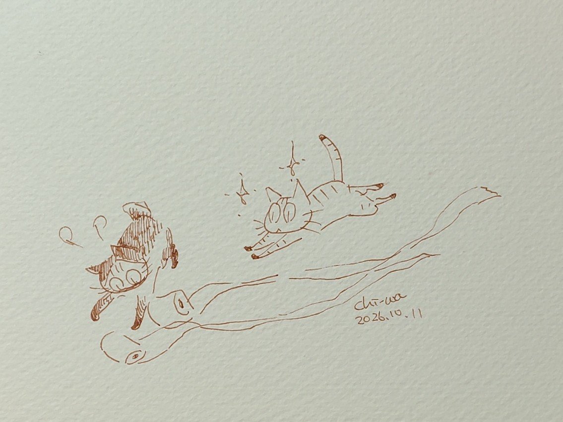 daresorearecore's tweet photo. 今日はトイレットロールの日らしい。
#イラスト #猫 #今日は何の日 https://t.co/lS1jz3mq3j