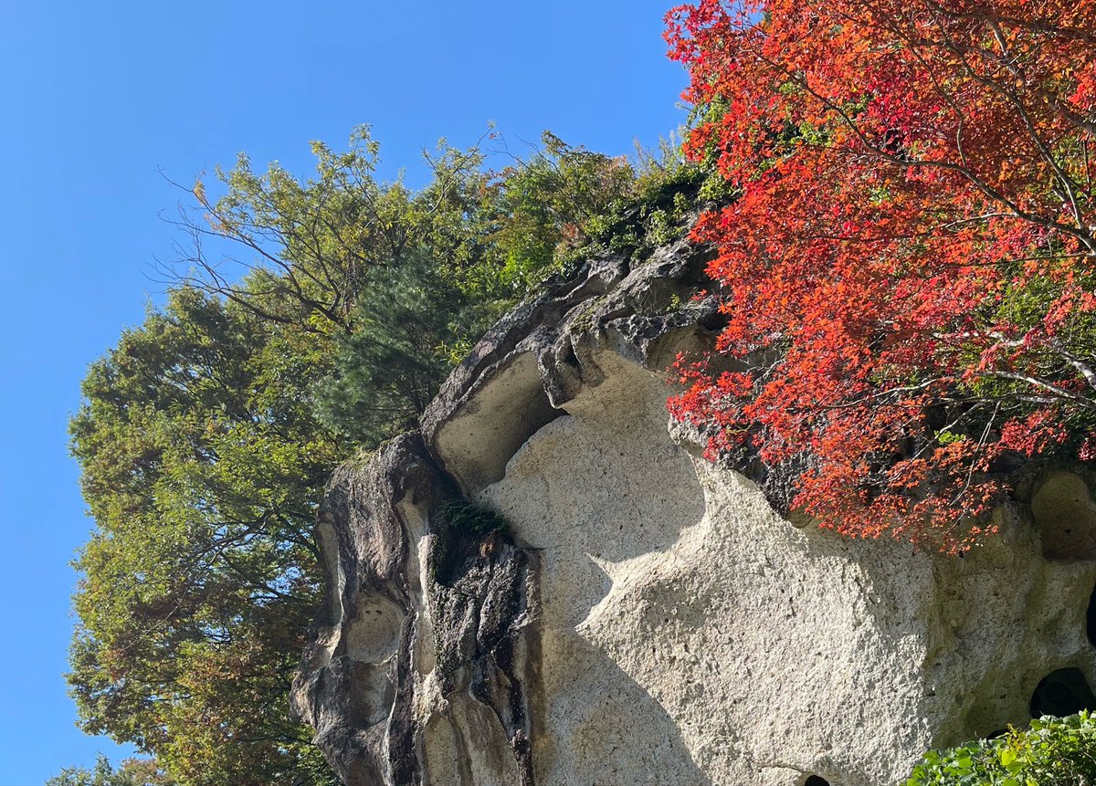 nary0819's tweet photo. 因みに登山中に1番興奮して声が出そうになったのはここですね。
この横穴で間違いないと思うのですが、かおるも広康もワイルド過ぎでしょ https://t.co/WyUv2LEBPi